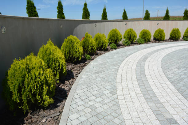 Best Driveway Paving Contractor  in Rosamond, CA